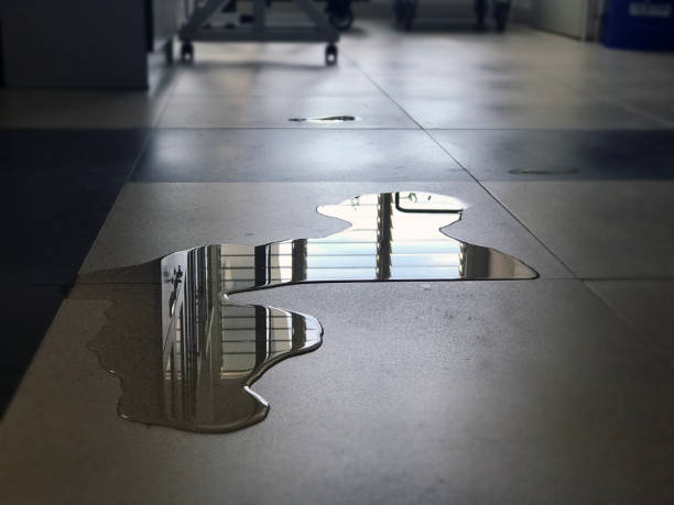 Best Local water damage restoration  in Charlotte Park, FL