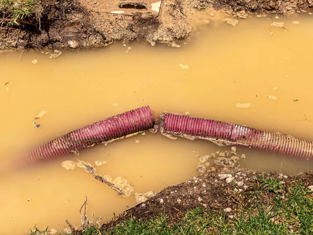 Best 24-hour water damage restoration  in Charlotte Park, FL
