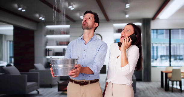 Best Ceiling water damage repair  in Charlotte Park, FL